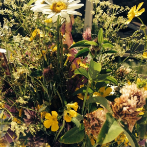 Bildschirmfoto 2014-11-10 um 13.24.14