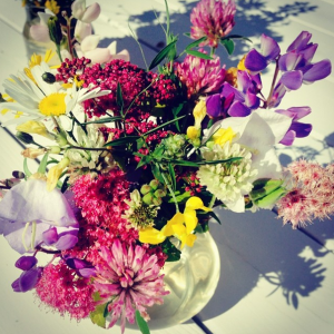 Bildschirmfoto 2014-11-10 um 13.24.26